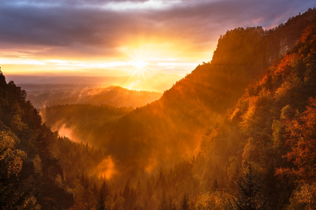 Fotoğraf görseli