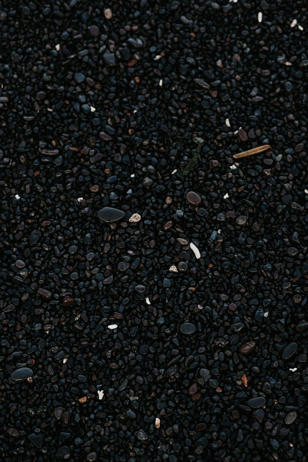 Niger Black Seeds