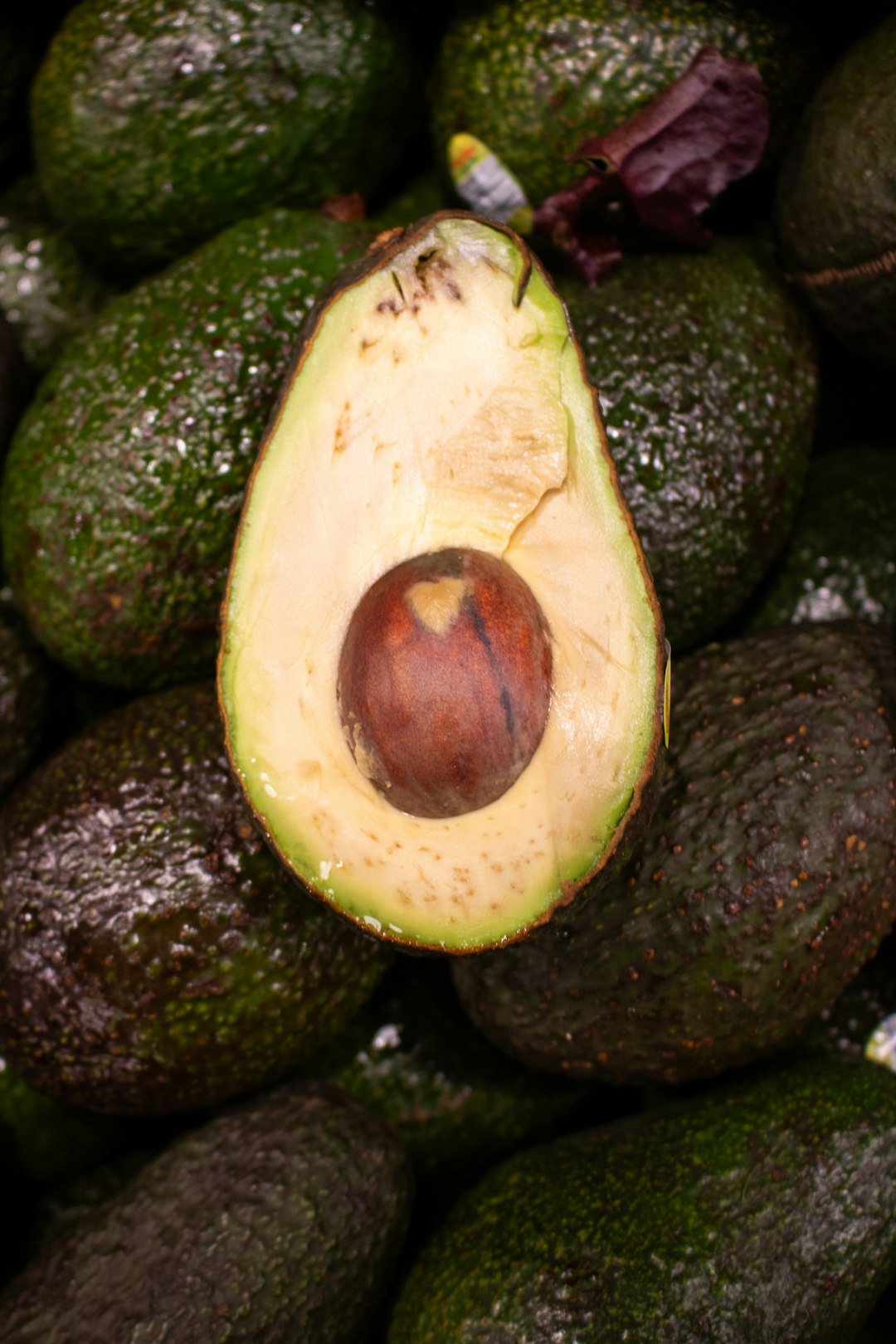Ethiopian Avocados