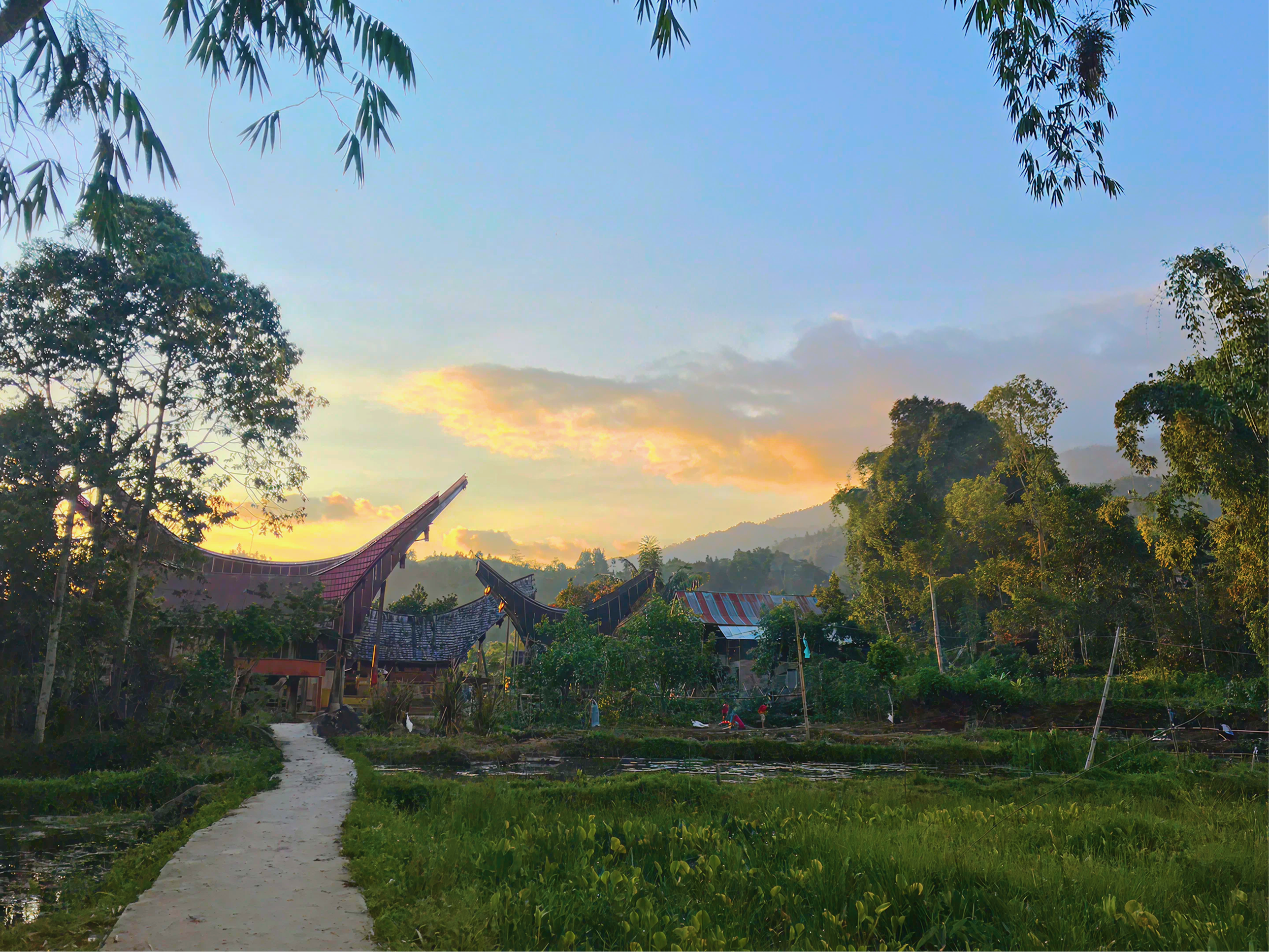 Tana Toraja, Sulawesi, Indonesia
