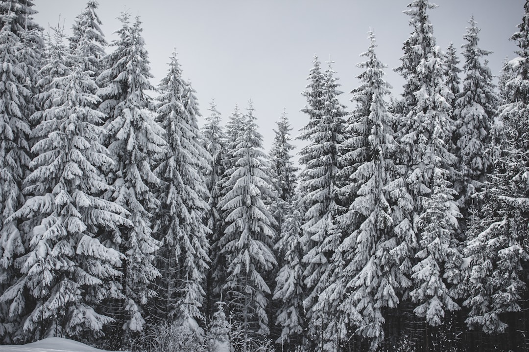 Snowy ridge, Western United States