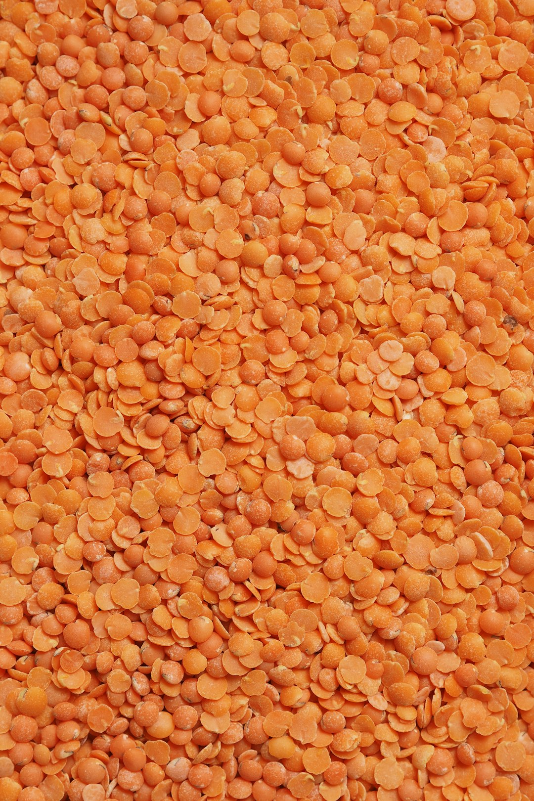 Lentils